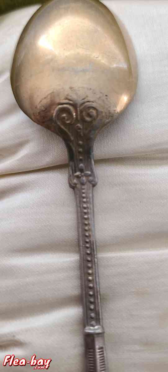 tea spoon set of 6