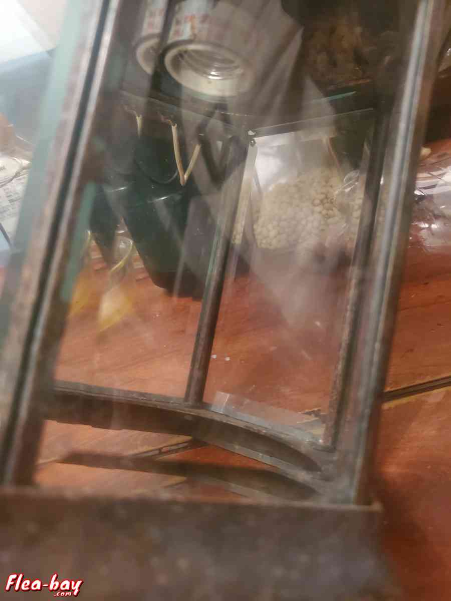 Outdoor lamp light fixtures