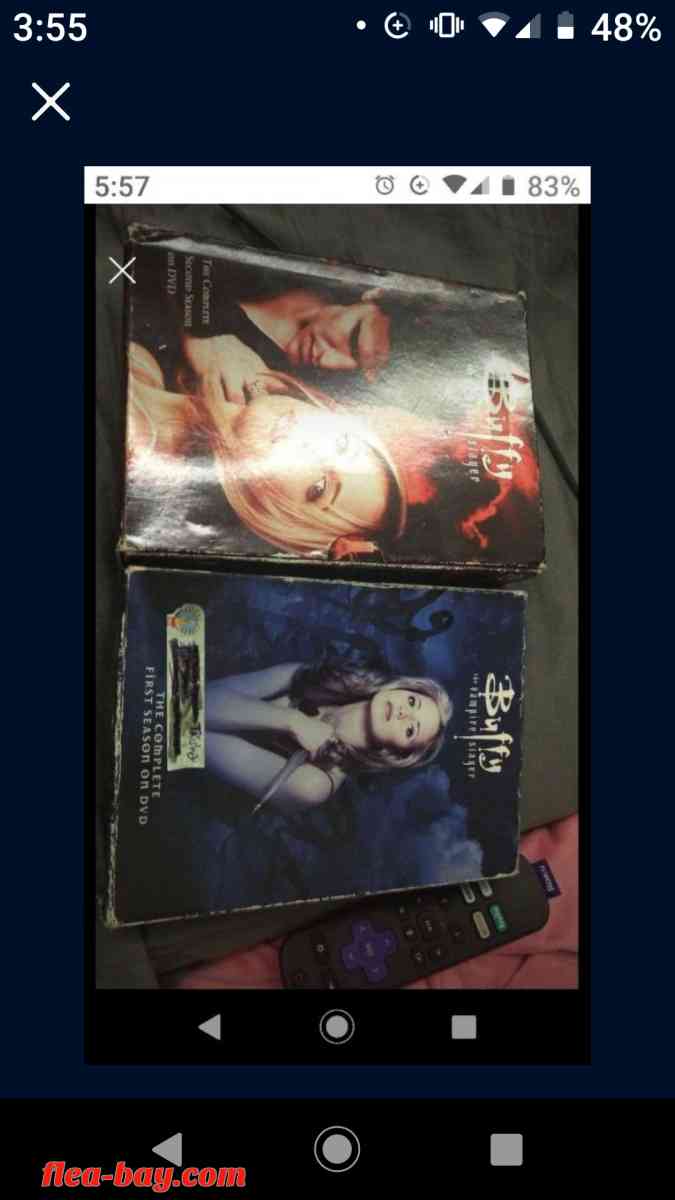 Buffy the vampire slayer series