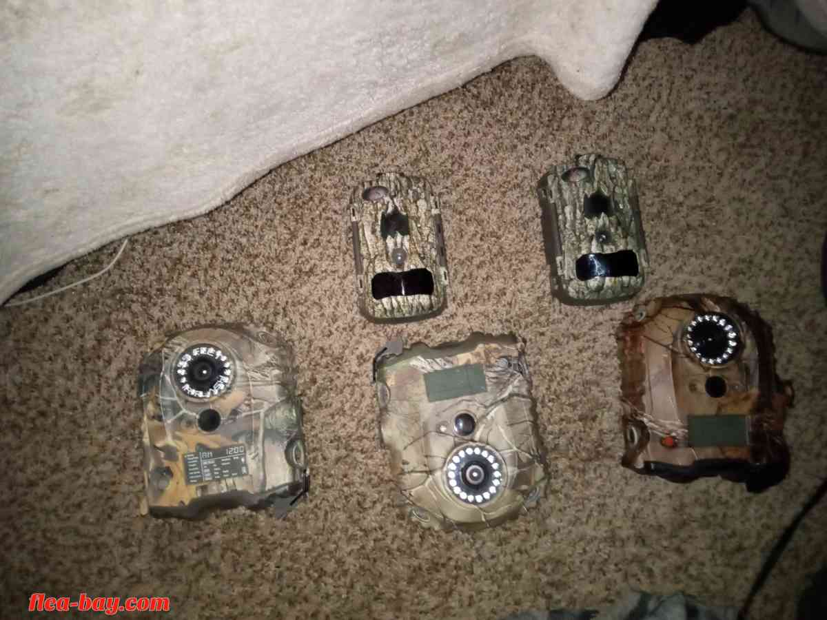 trail cams
