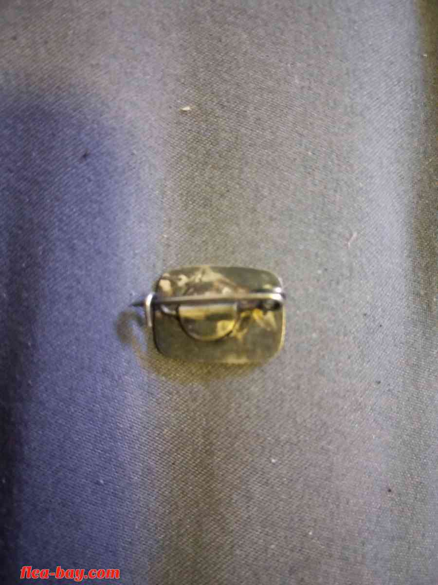 Rare-Antique Wells Fargo medal/coin & Jin stirrups pin