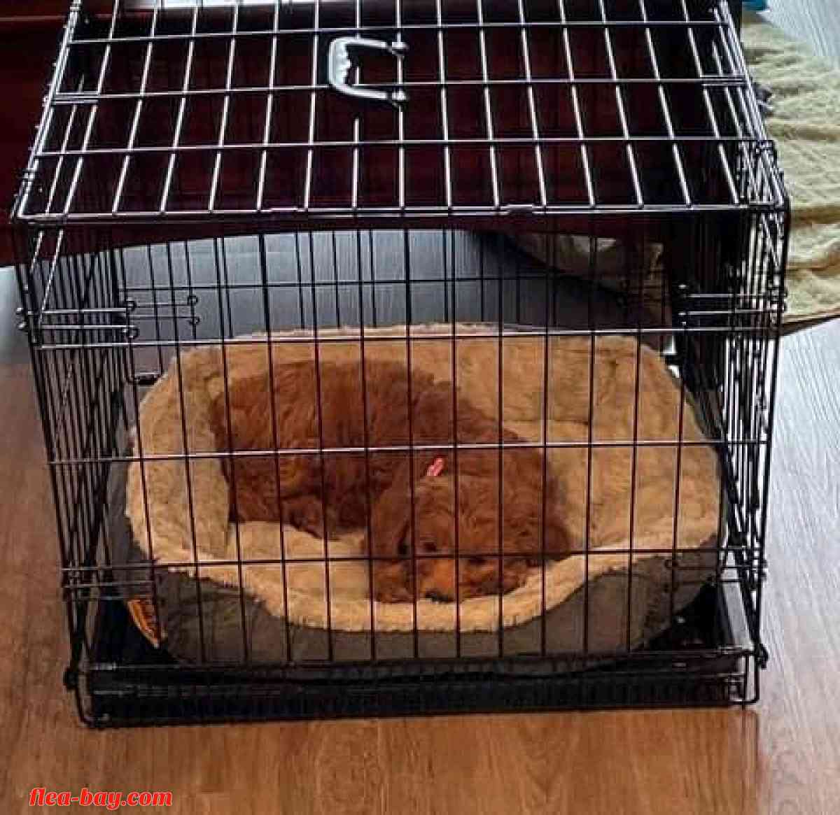 looking for serious buyer