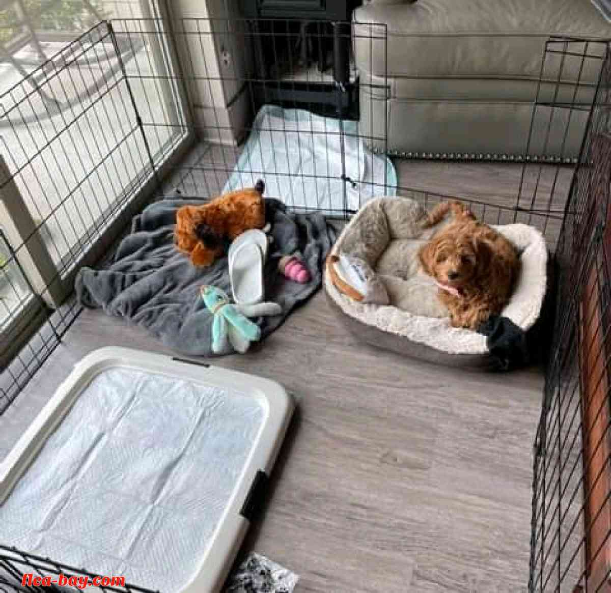 looking for serious buyer