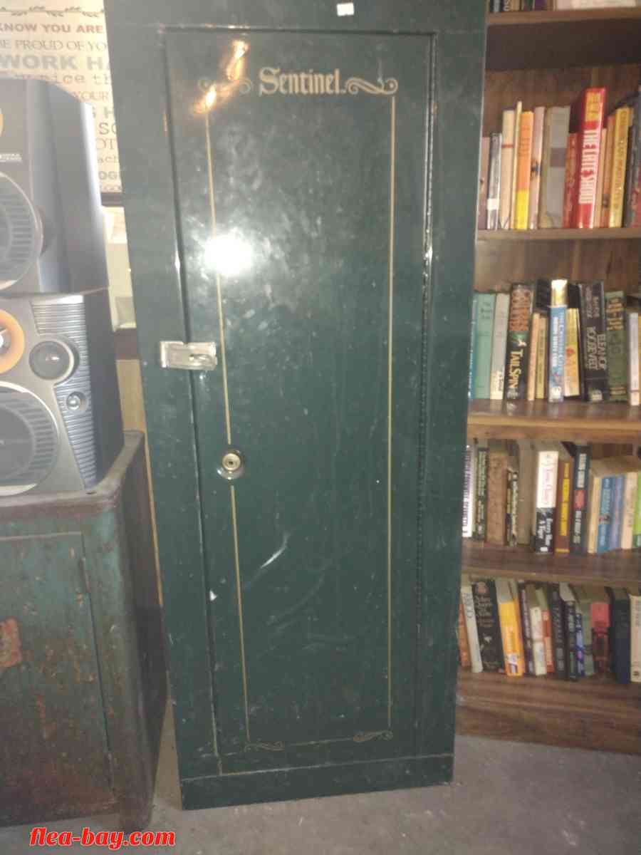 gun safe