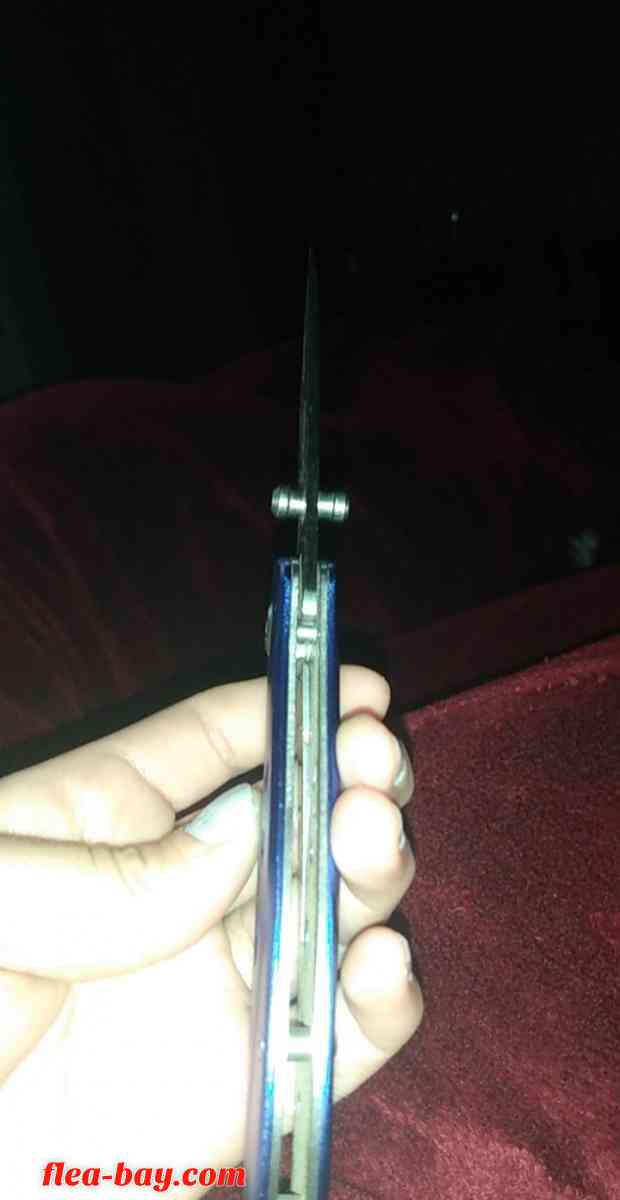 Blue Outdoor Orchelens knife