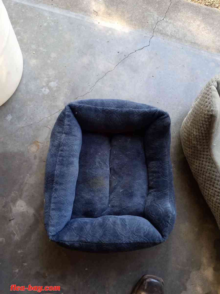 dog bed
