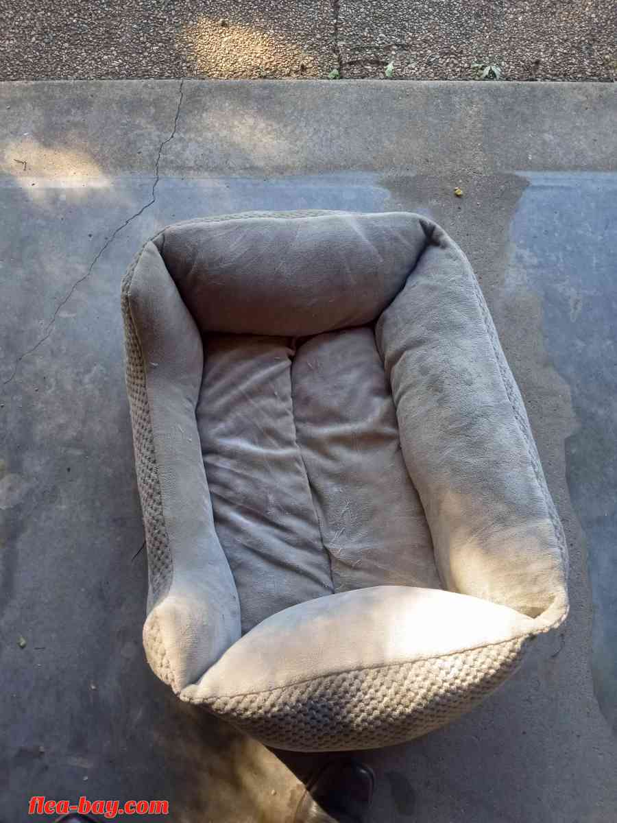 dog bed