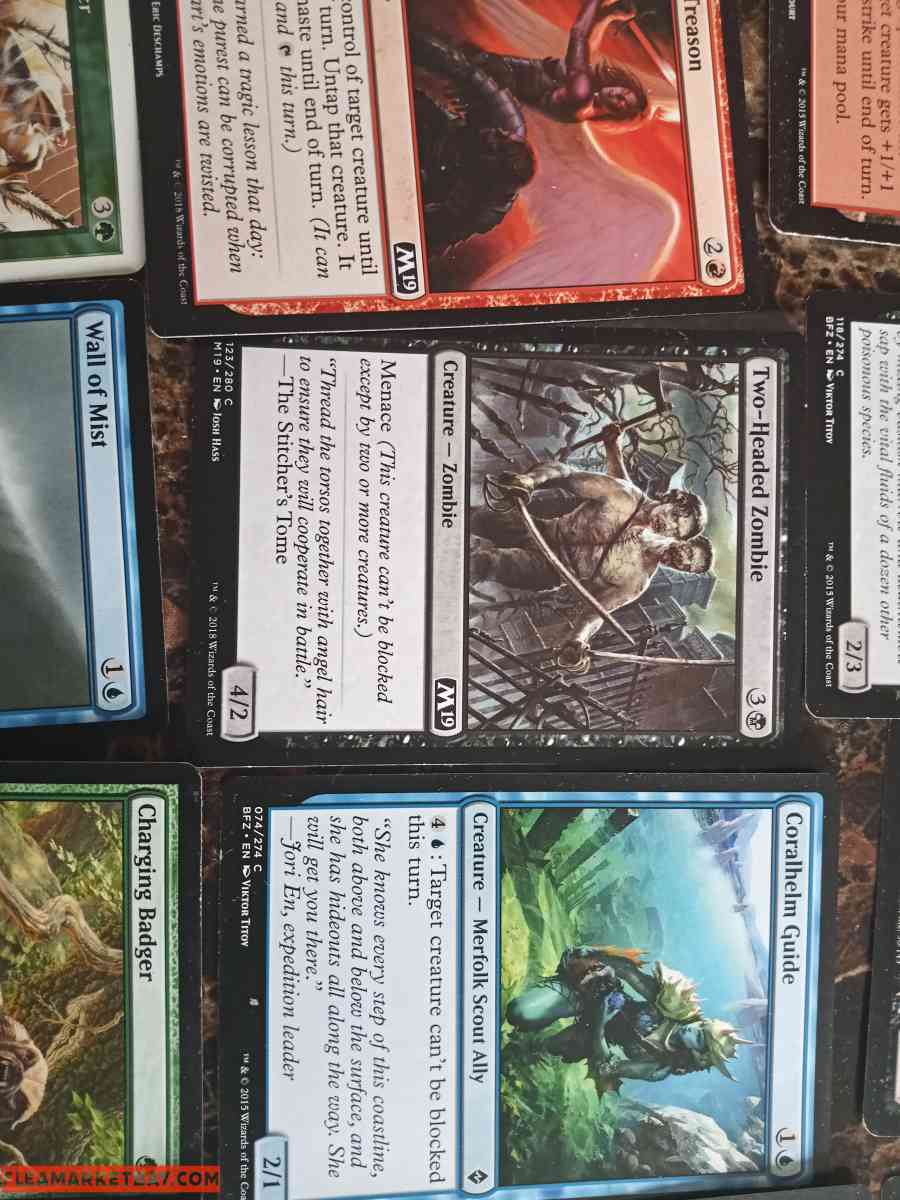 magic the gathering card deck and books
