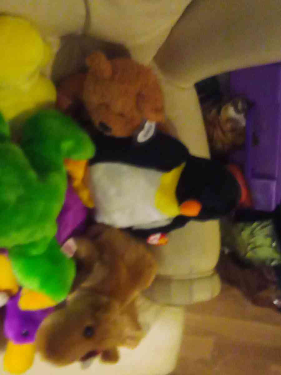 there a lot of beanies baby's here so if you need one contac