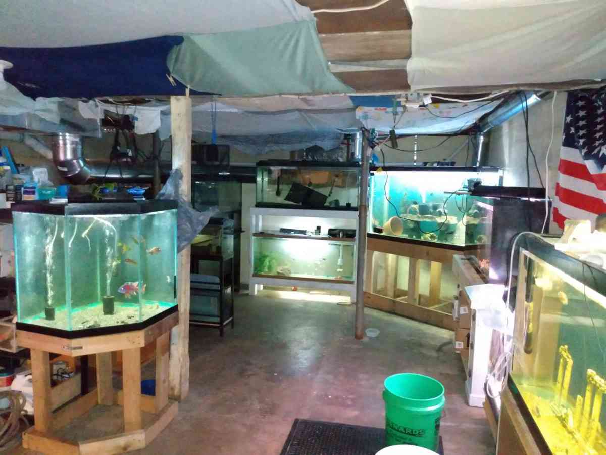 LITTLE CRITTER(S) AND SUPPLIES!