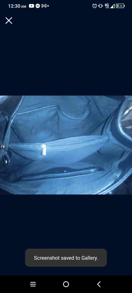 Micheal kors purse .. never used