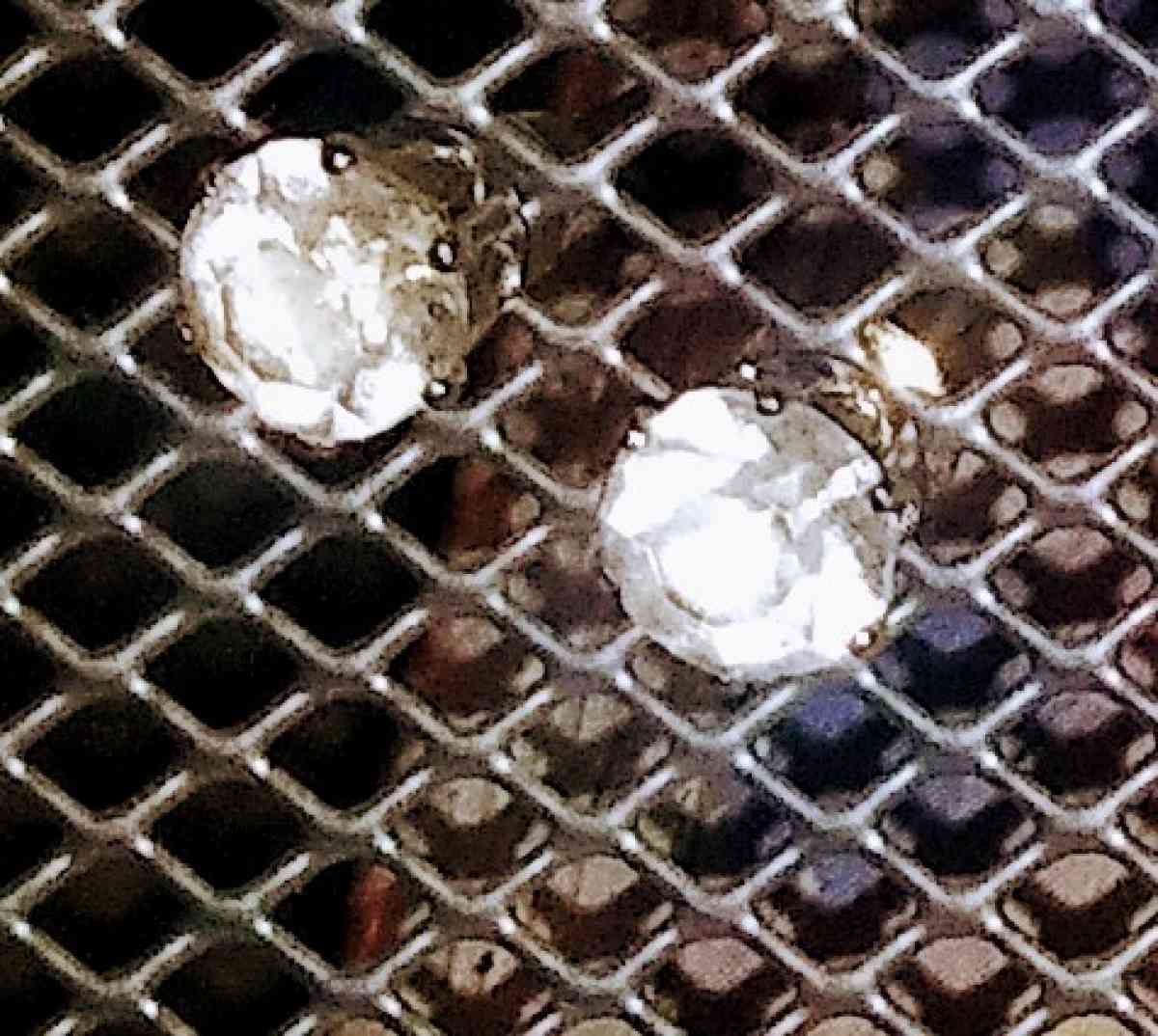 Assortment of Fashion Earrings