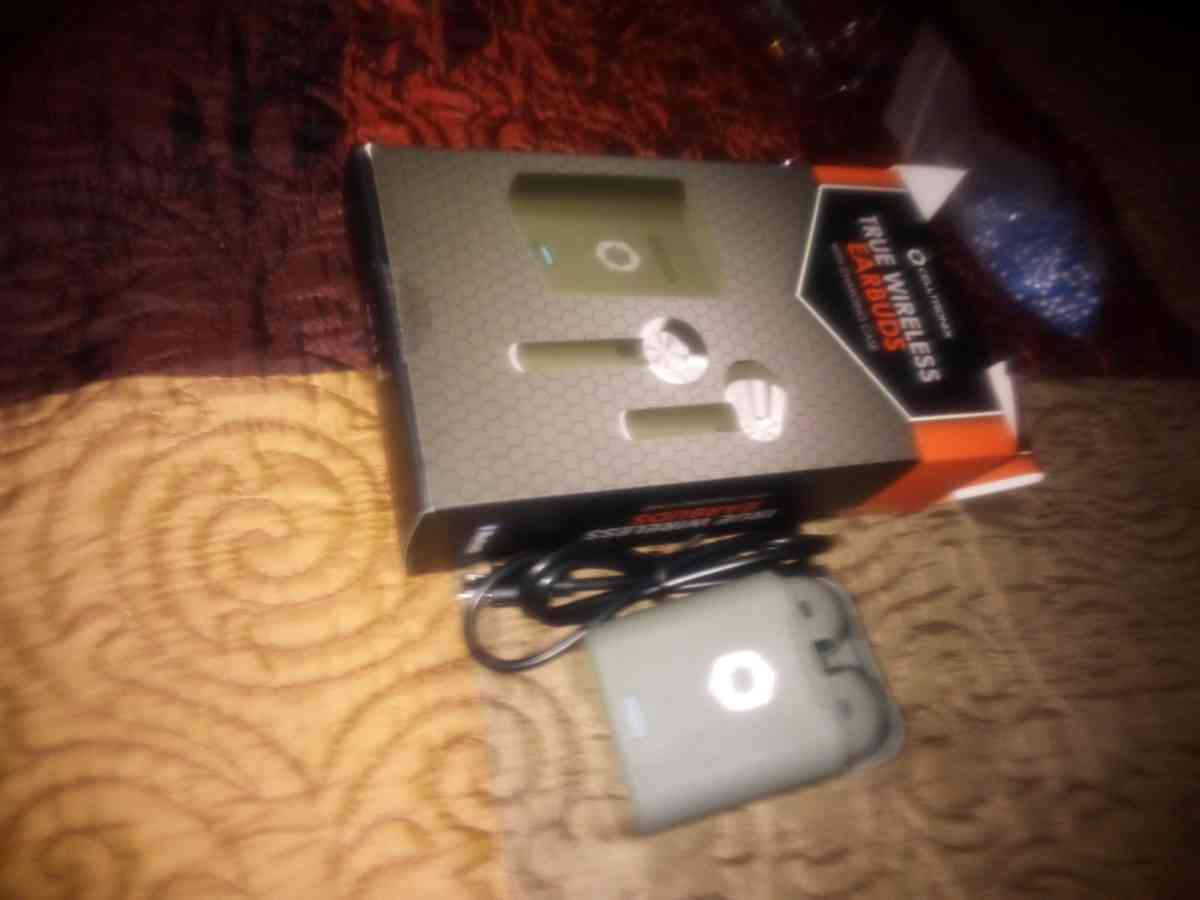 True wireless earbuds