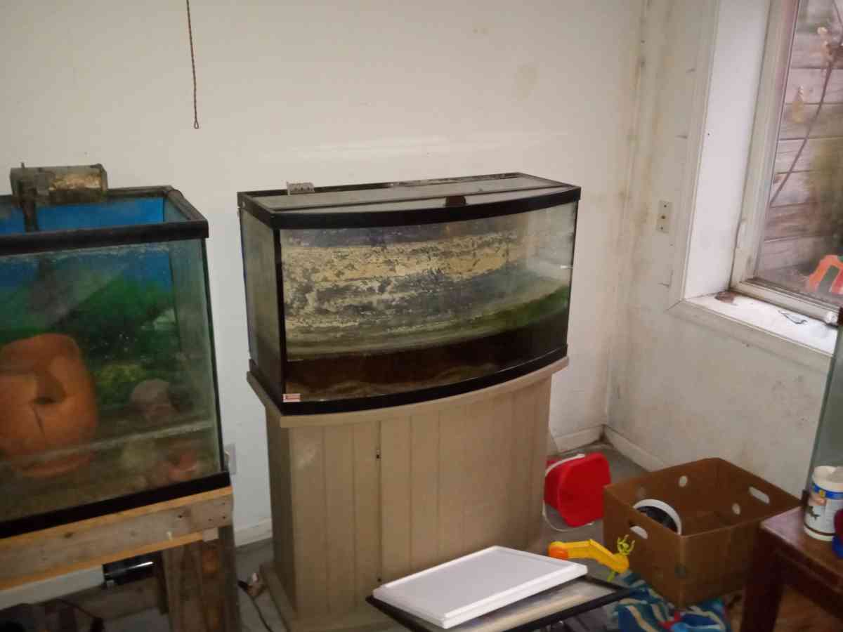 multiple fish tanks