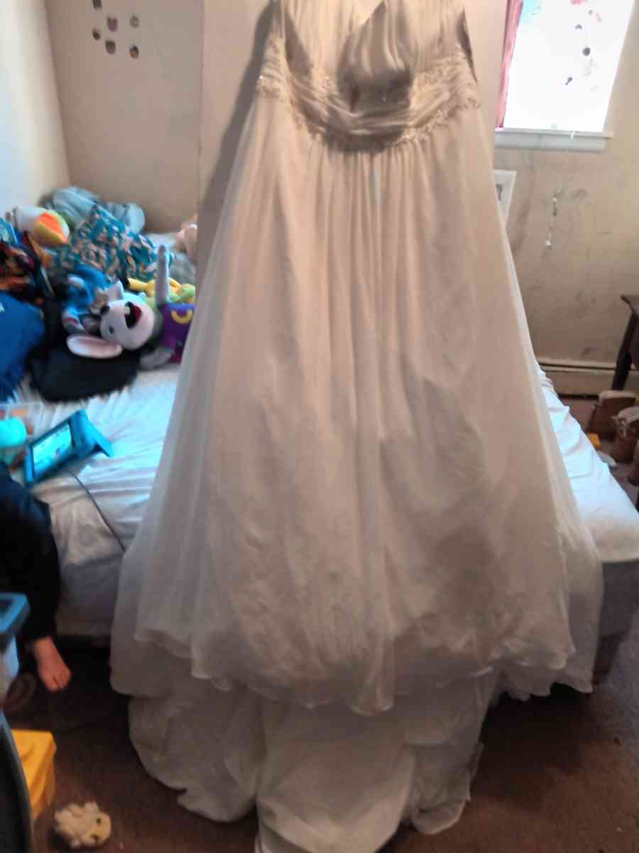 Davids bridal wedding dress/vail set