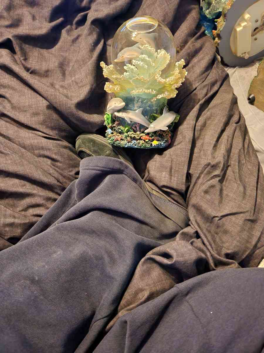 smaller dolphin globe