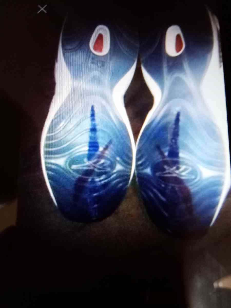 Brand New Reebok Allen Iversons Size 11 Pick Up