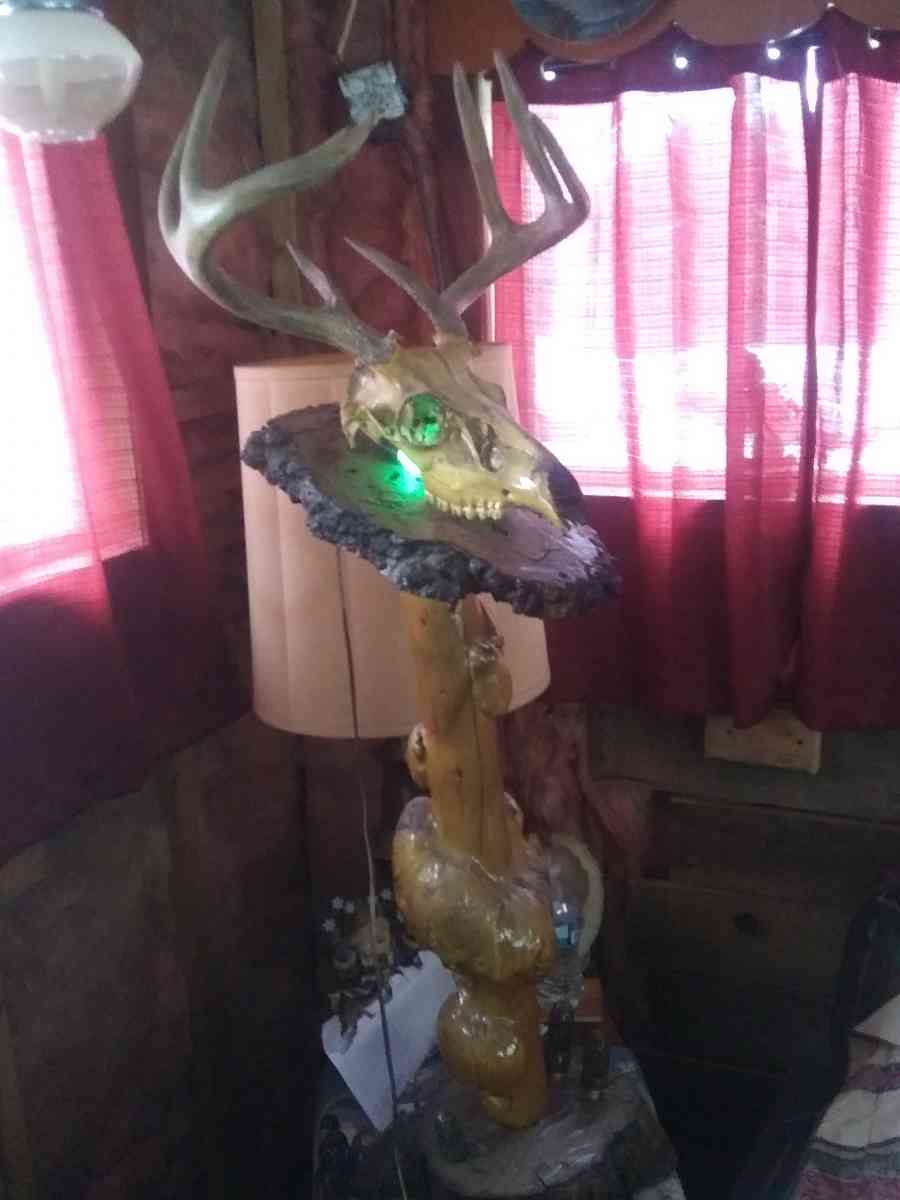 8 Piont European swamp buck