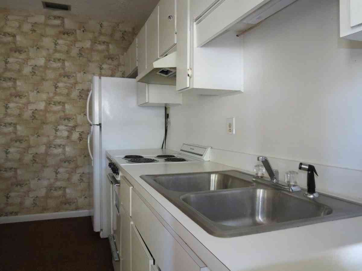 single family home for rent