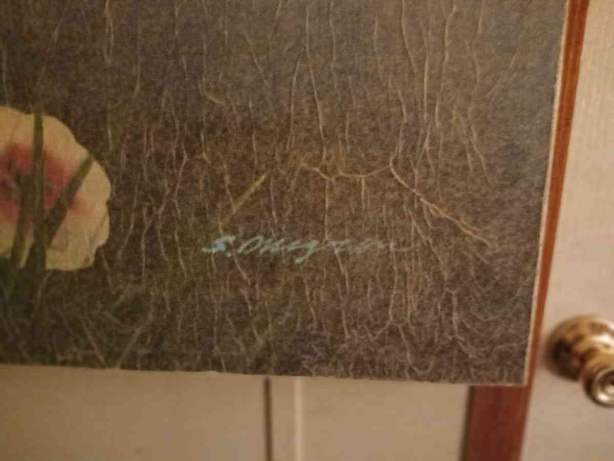 pink flowers by the Pond