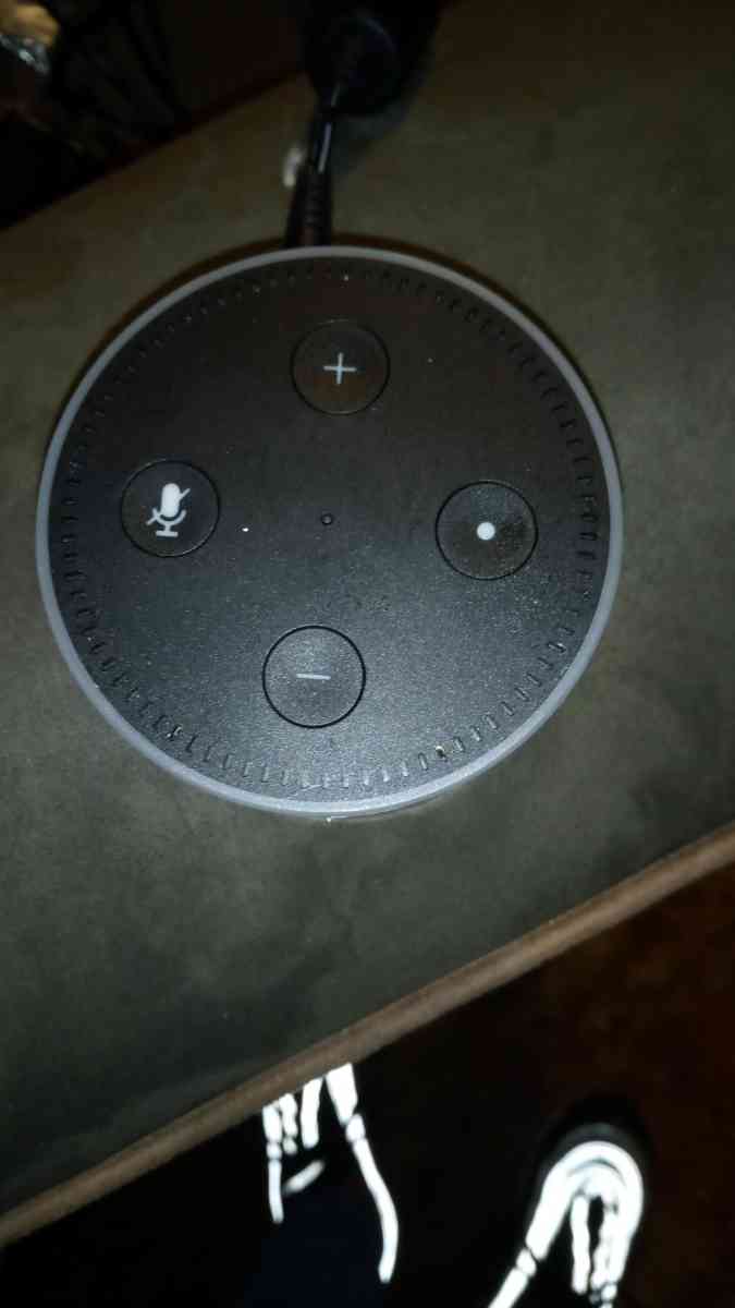 Amazon Echo Dot
