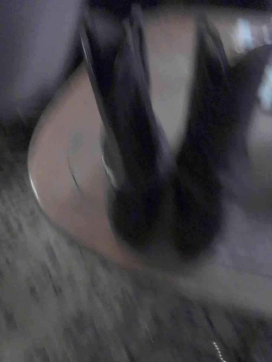 dan post renegade cowboy boots