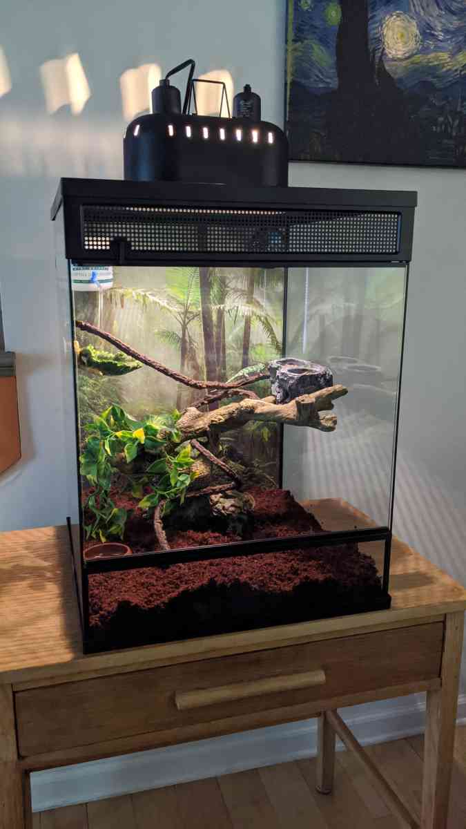 Vertical Reptile Terrarium