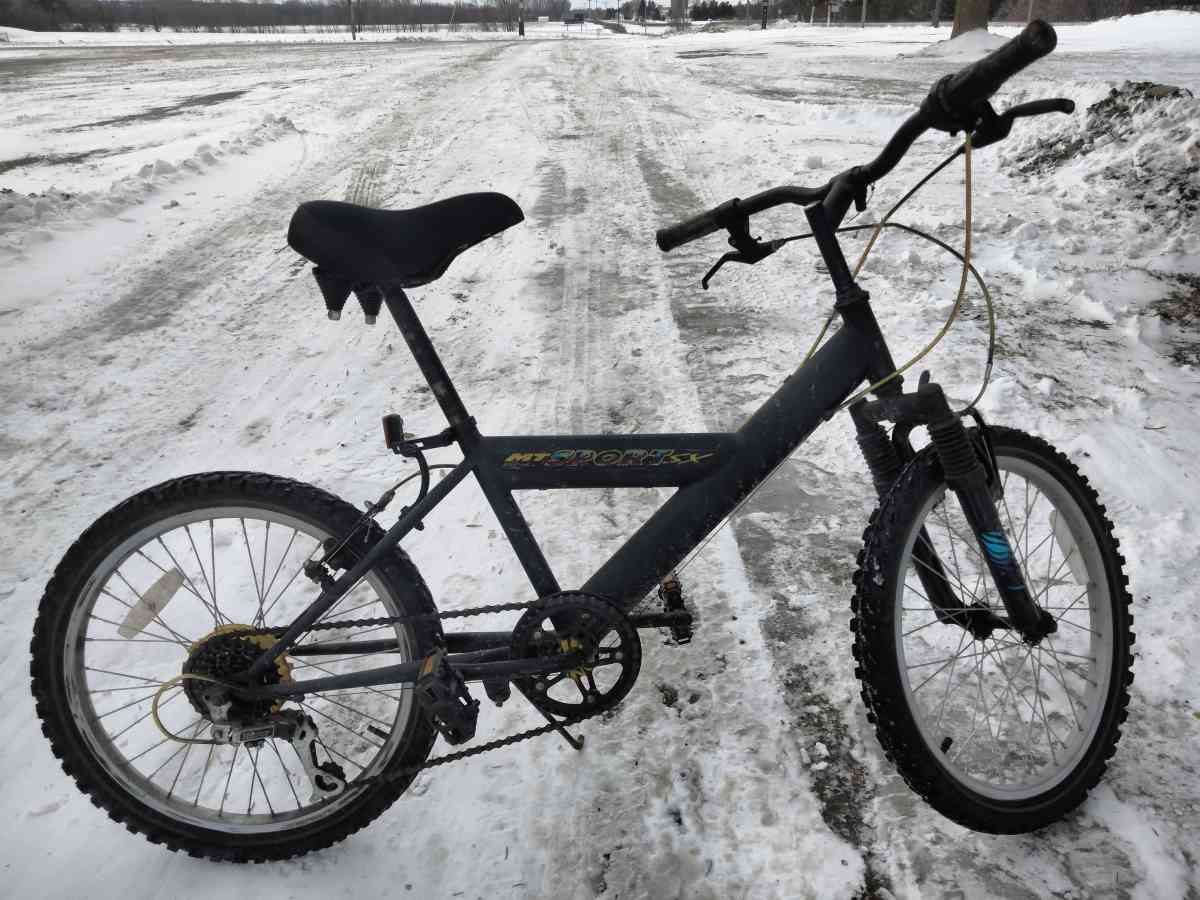 20 Inch Mens Roadmaster Comfort Mountain Bike