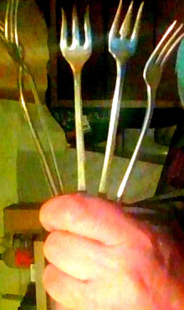 Silver Fu Do forks