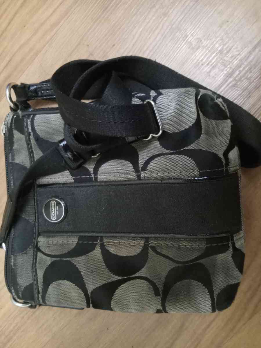 Coach Bag $20 and Steve Madden Bag $20