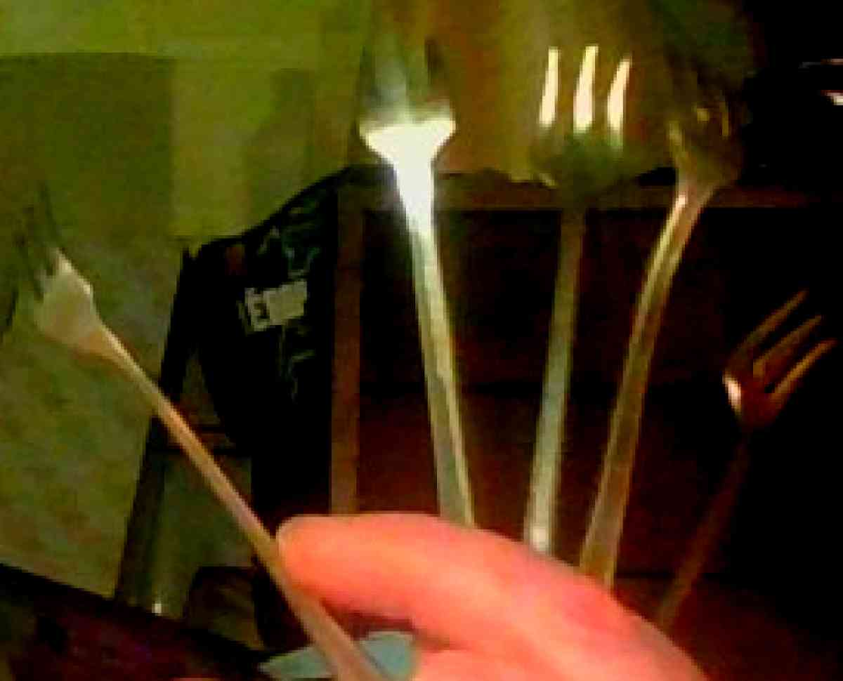 Silver Fu Do forks