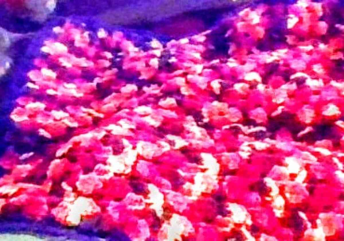 Large Crocheted Pillow Cover