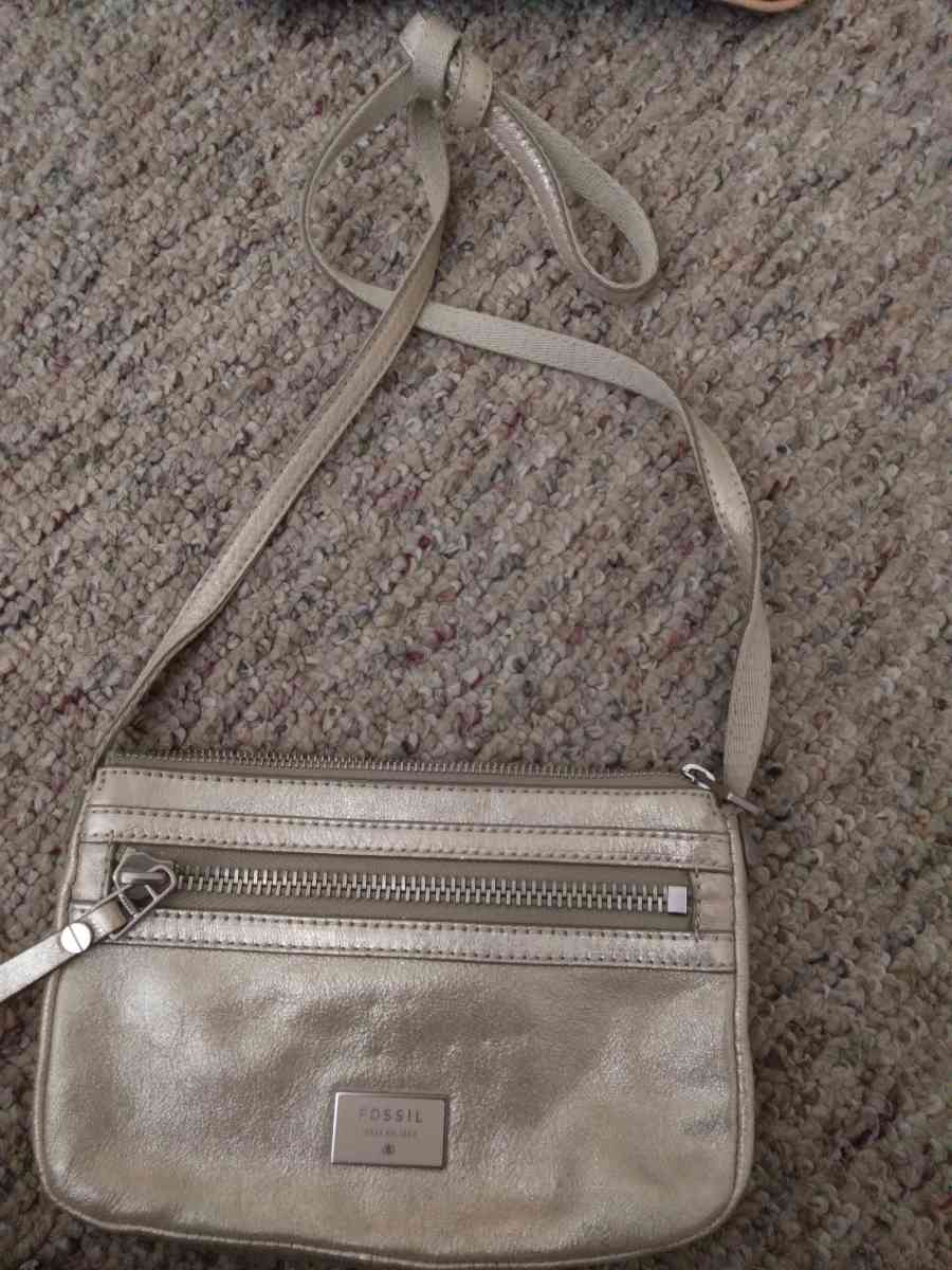 Fossil purse