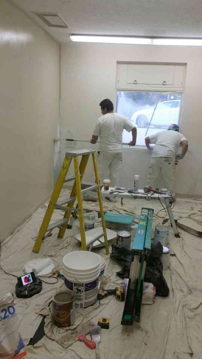 painter painting services