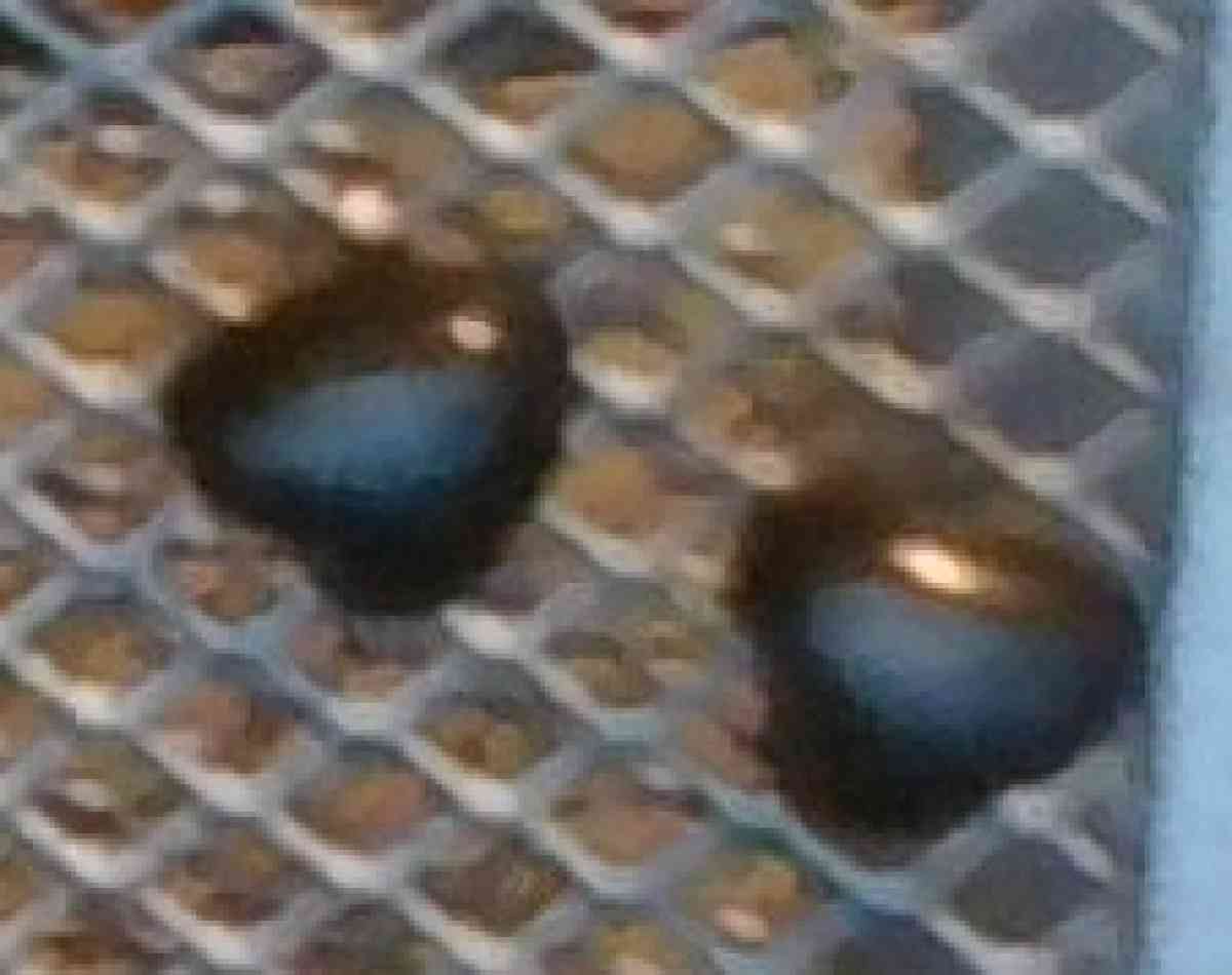 CZ Stud Earrings and Other Stud Earrings