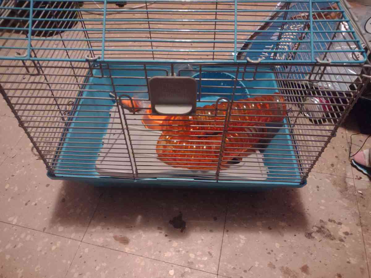 hamster cage