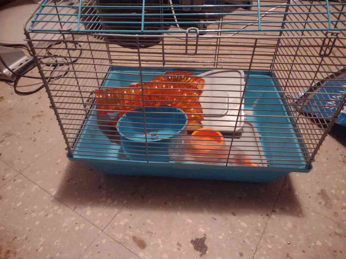 hamster cage