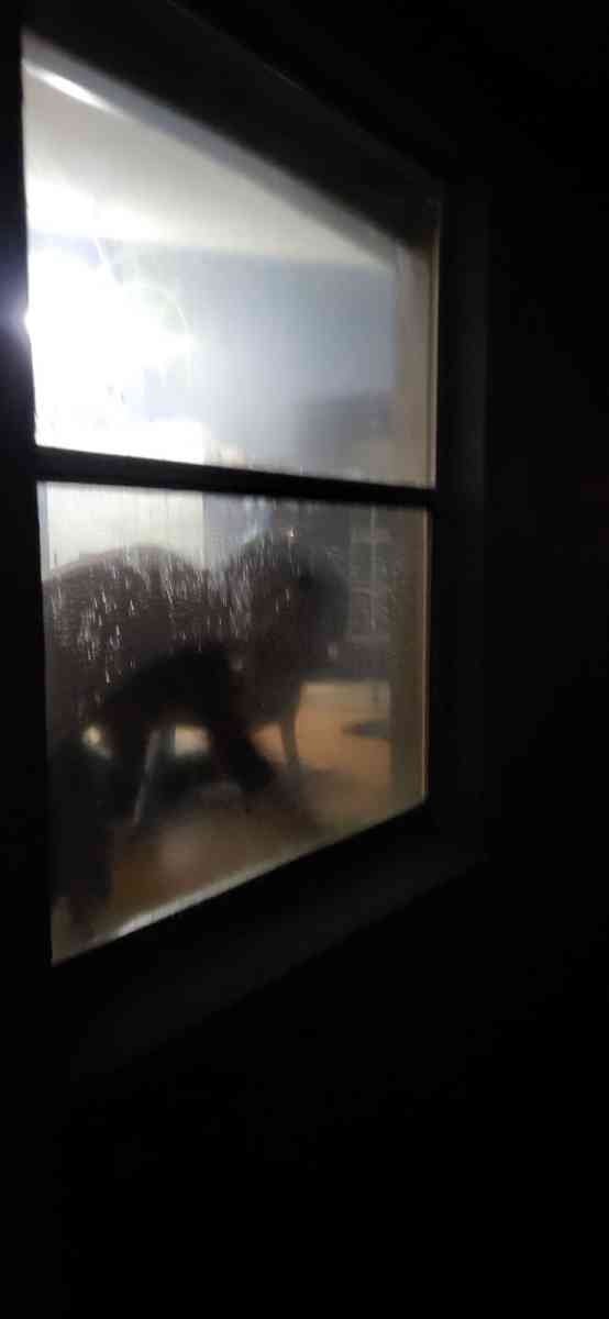 Windows cleaning inside and outside