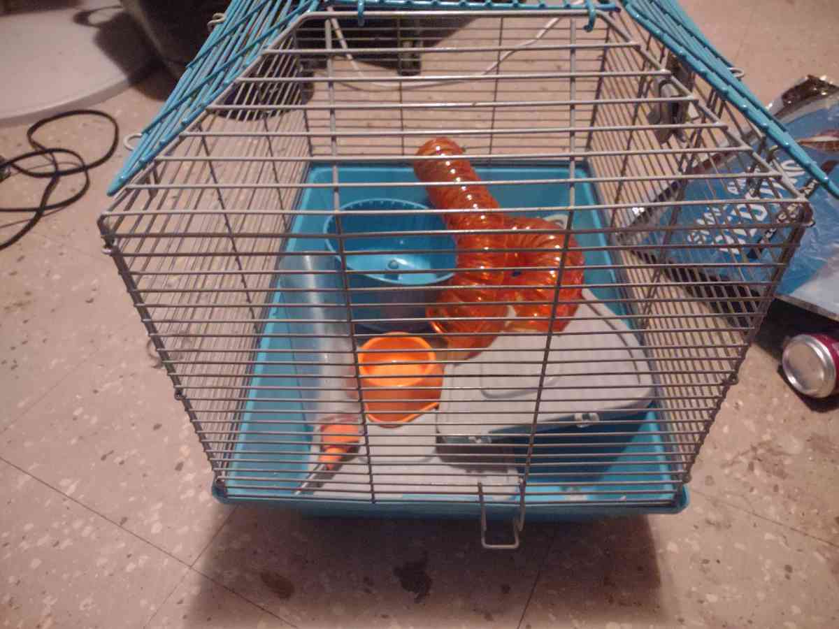 hamster cage