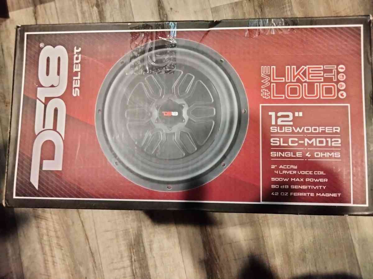 DS18 12 INCH SUBWOOFER