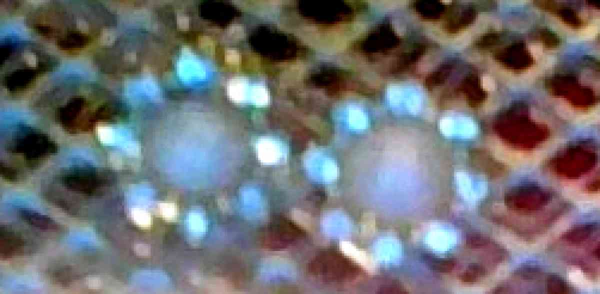 Assorted Stud Earrings