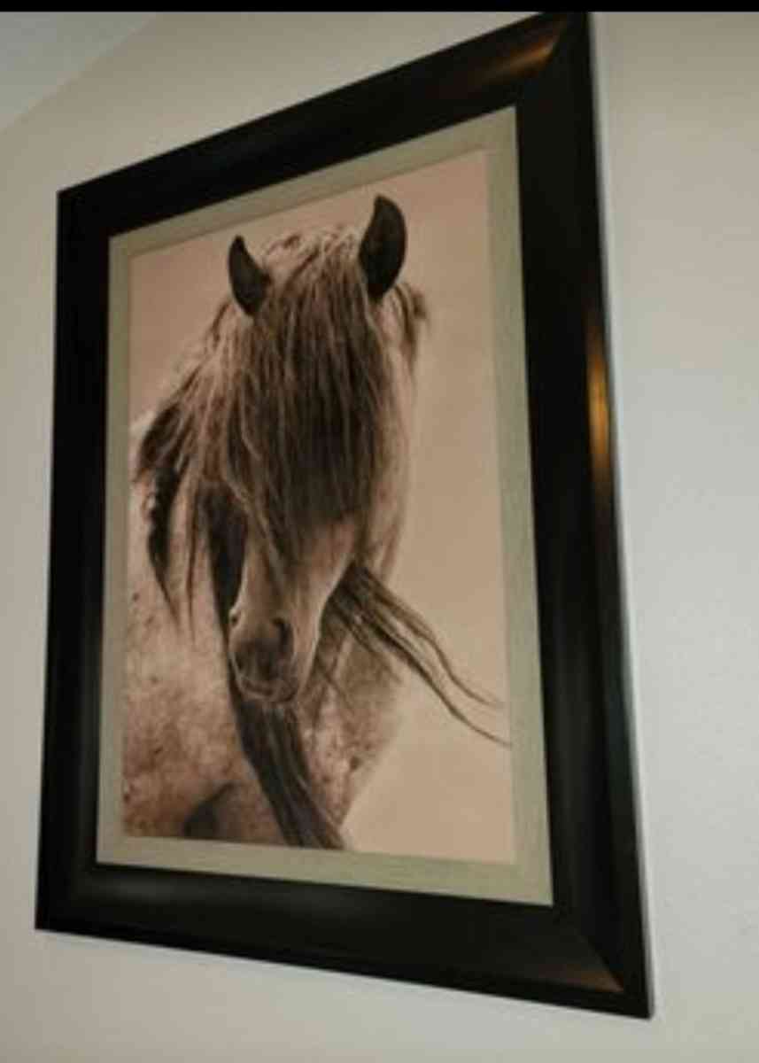 horse wood frame