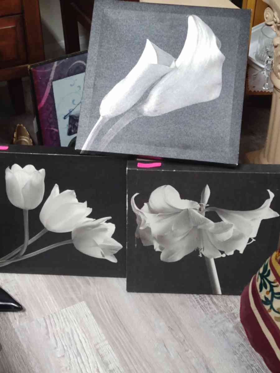 FLOWER WALL DECOR 3 PICTURES