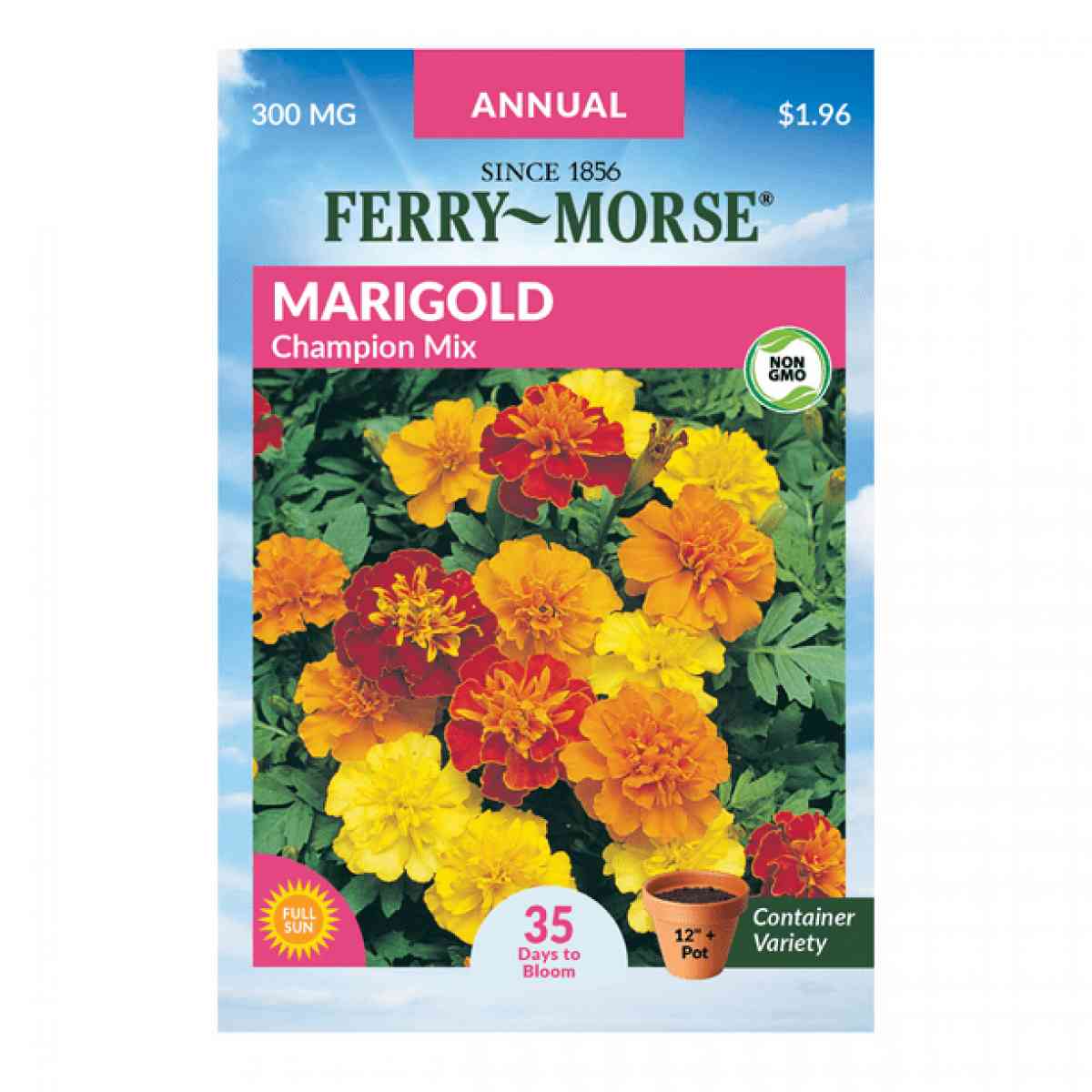 Ferry Morse flower seed packets 60pks
