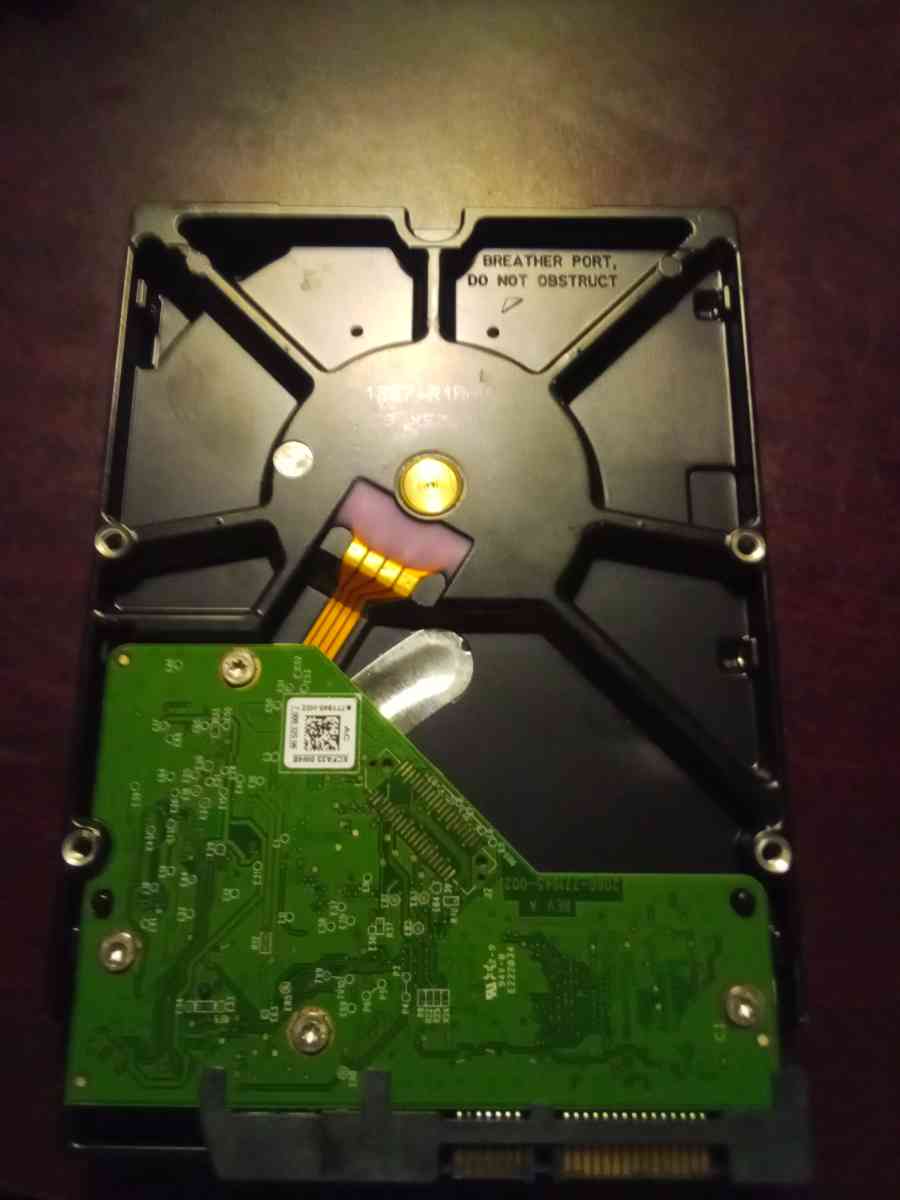 western digital blue 64mb hard drive