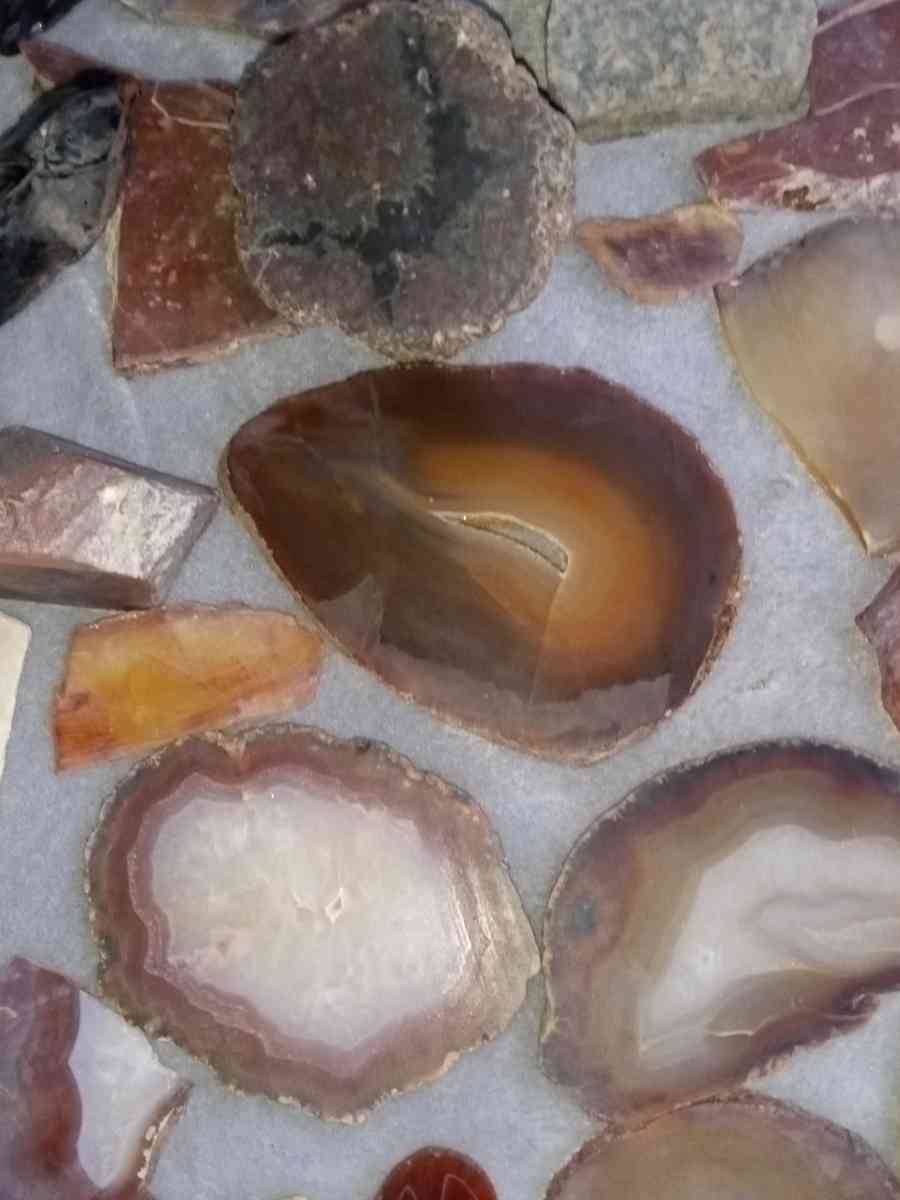 agatized petrified wood slabs