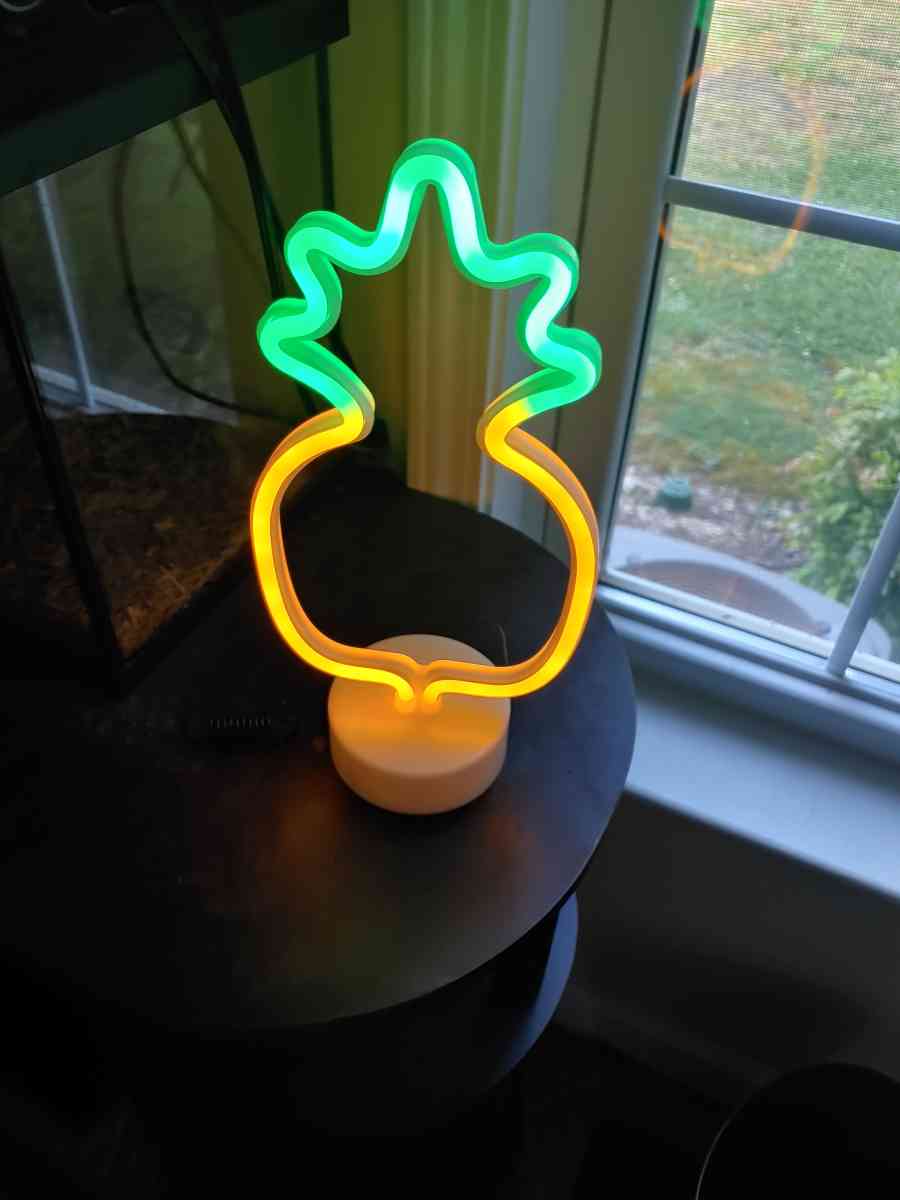 a used pineapple light