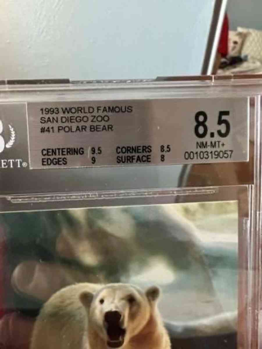 1993 World Famous San Diego Zoo 41 Polar Bear Graded 85