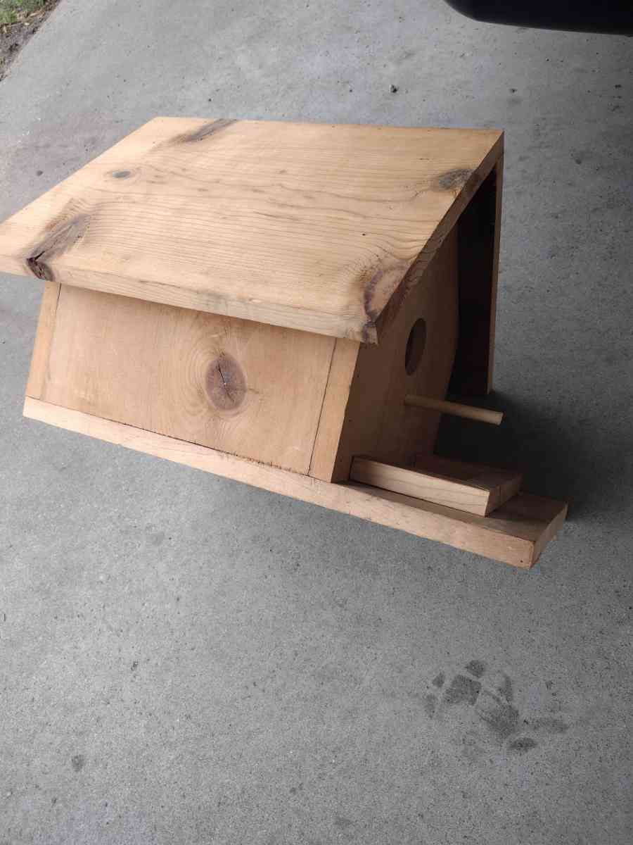bird house