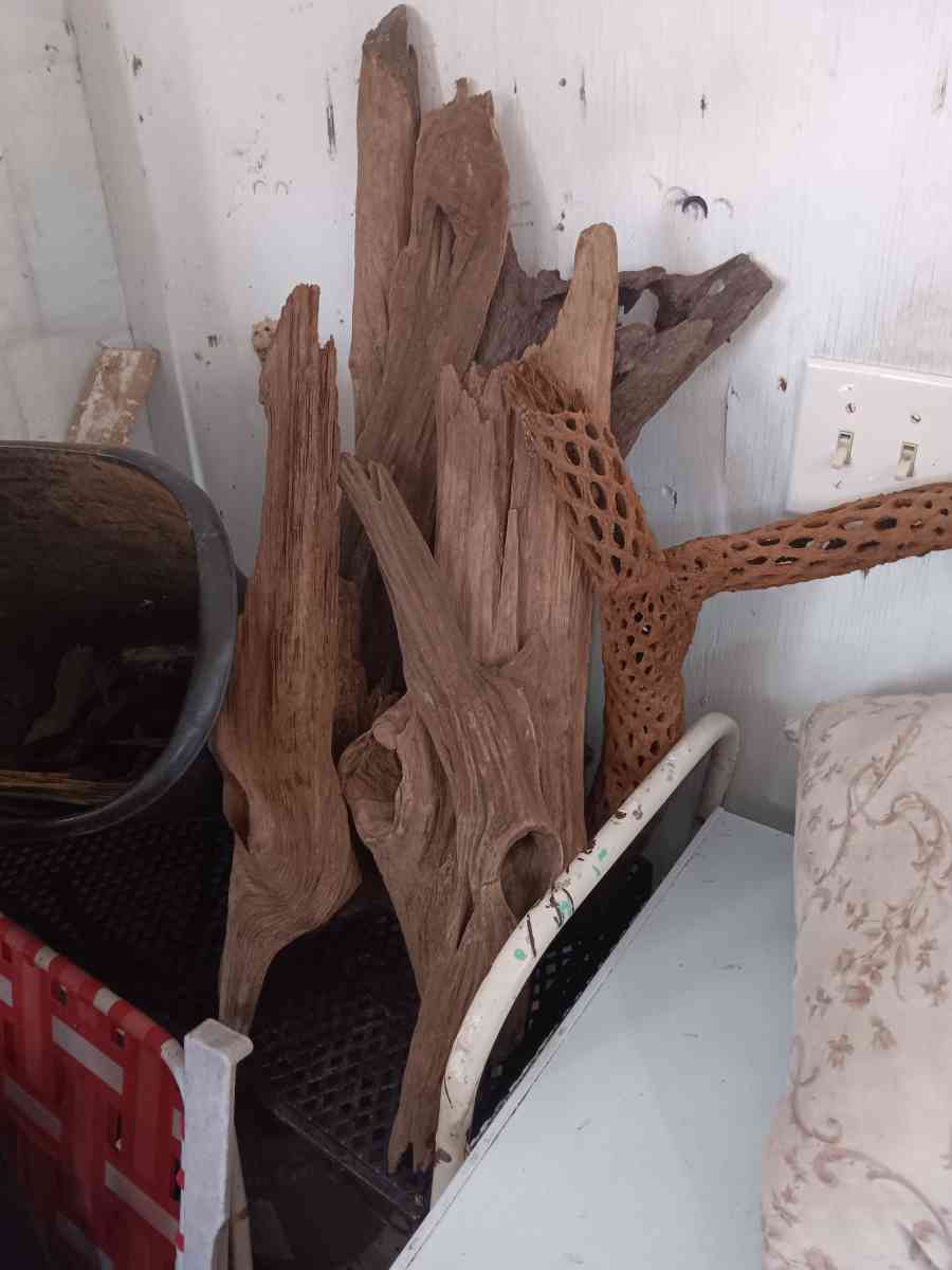 driftwood